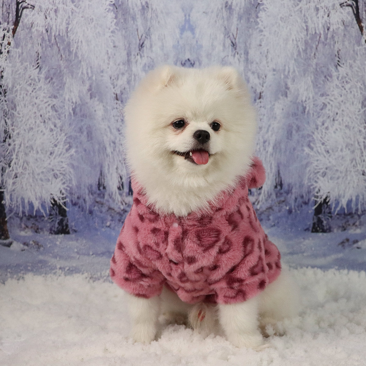 Leopard-Print Faux-Fur Pet Jacket for Dogs & Cats
